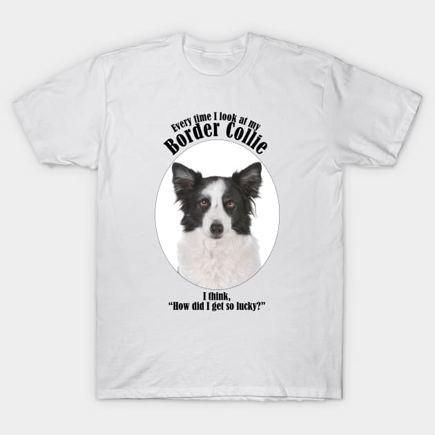 Border collie tee shirts store